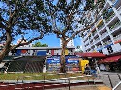Blk 51 Macpherson Garden (Geylang), HDB 3 Rooms #608953301